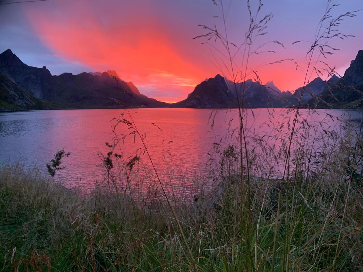 Reinefjord Panorama Villa Moskenes Bagian luar foto